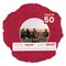 Red Suede Mat Board for 14x14 Frames - Circle Opening for 10x10 Photos